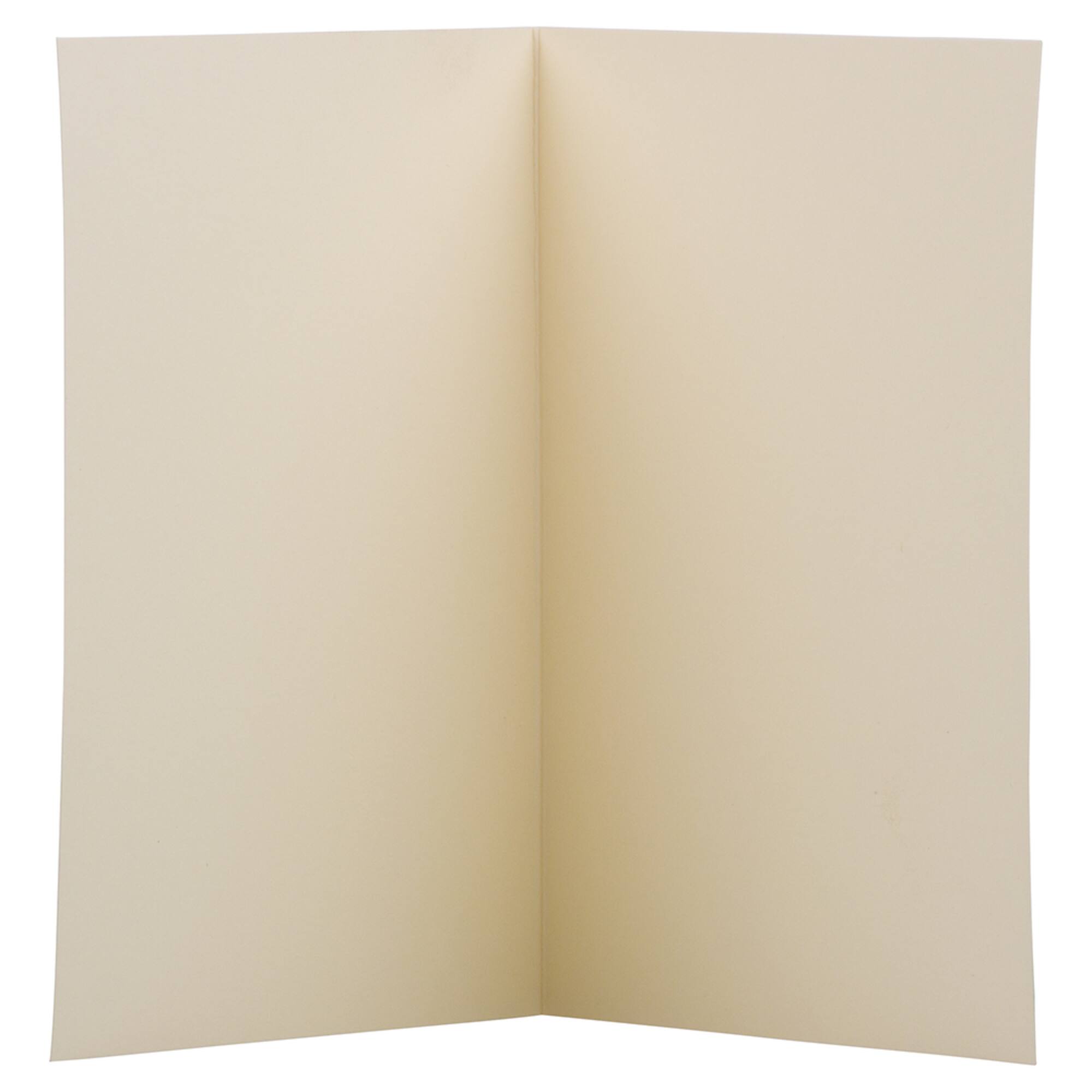 JAM Paper 3.5" x 4.875" Strathmore Ivory Wove Blank Foldover Cards